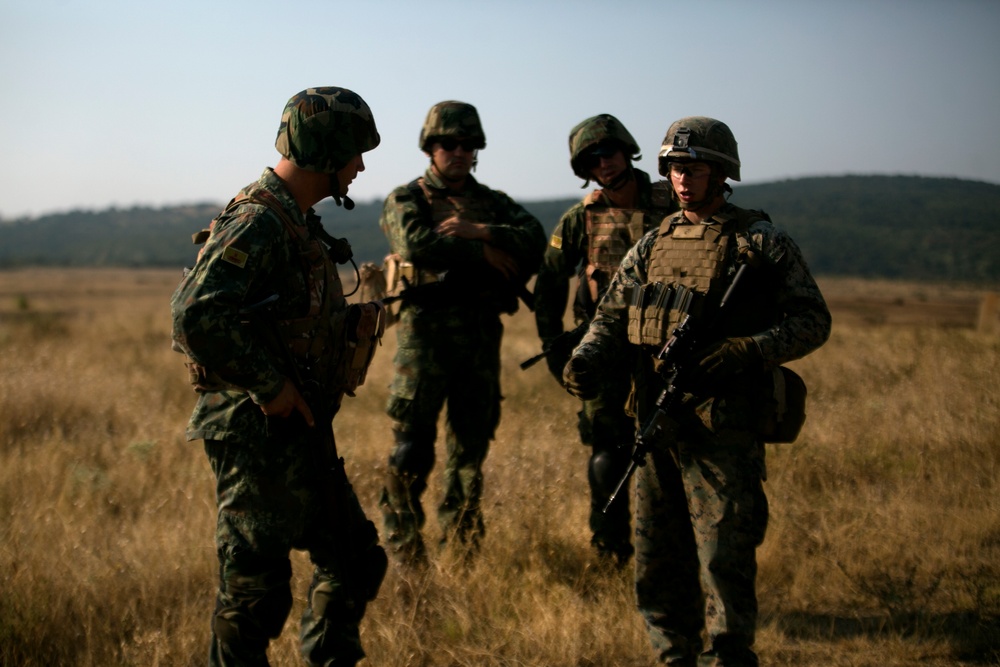 Platinum Lion 17.2: U.S. Marines work with Albanian forces during Military Operations on Urban Terrain