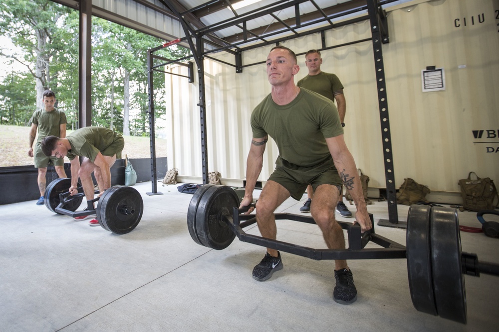 Force Fitness Instructor Course