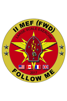 2nd Marine Division conducts Large Scale Exercise-17