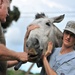 Army veterinarians in Tonga with Nev. SPP image 5 of 6