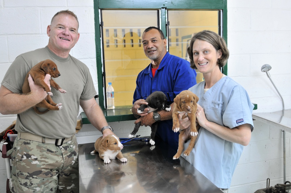 Army veterinarians in Tonga with Nev. SPP image 6 of 6