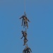 Marines 'hang out' over Camp Grayling