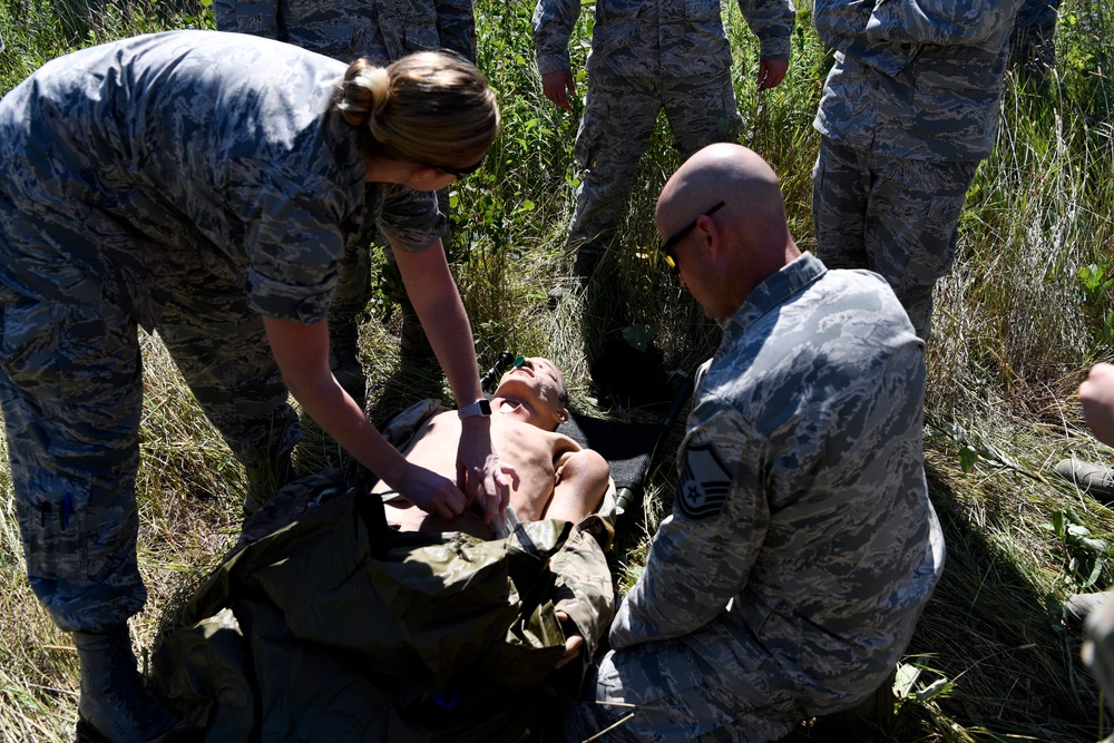 Medevac Exercise at Northern Strike