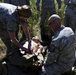 Medevac Exercise at Northern Strike