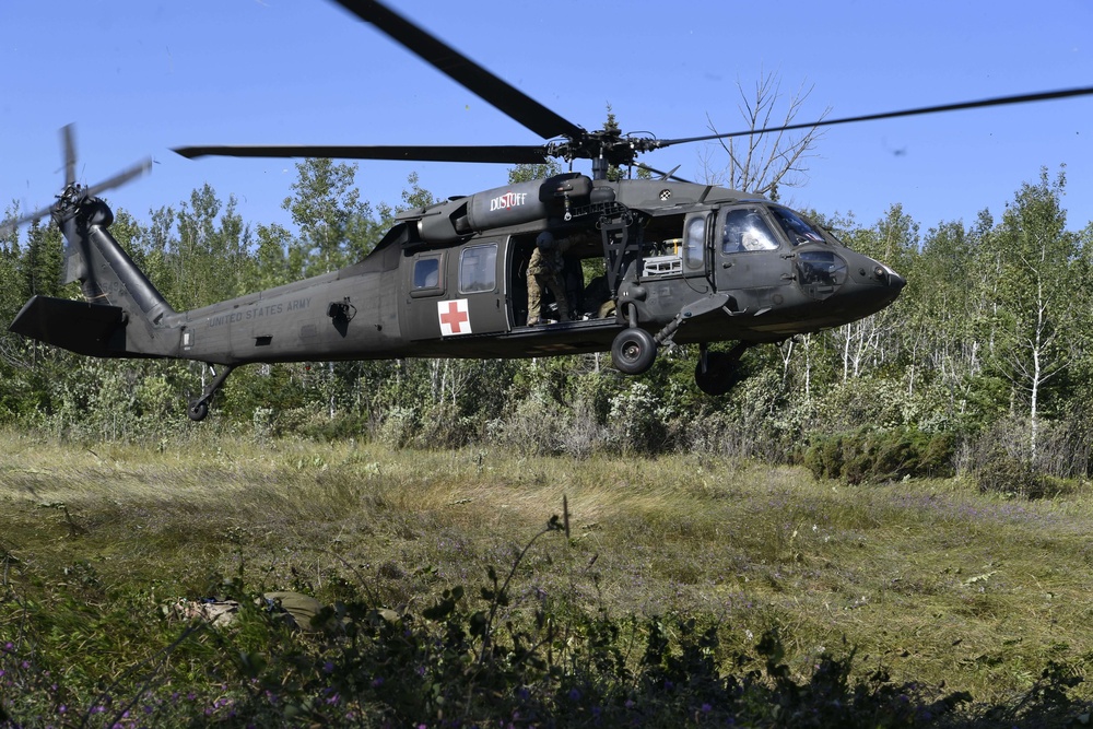 Medevac Exercise at Northern Strike