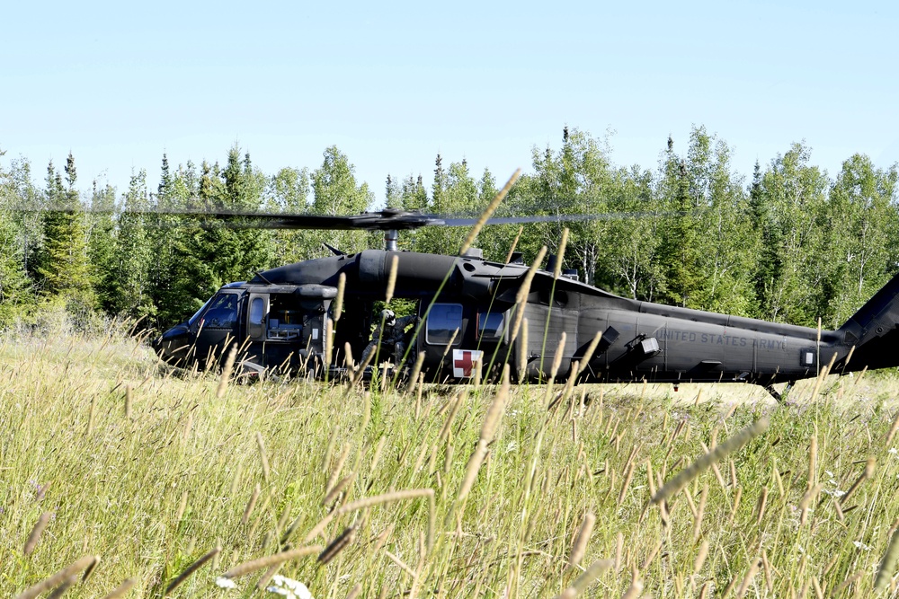 Medevac Exercise at Northern Strike