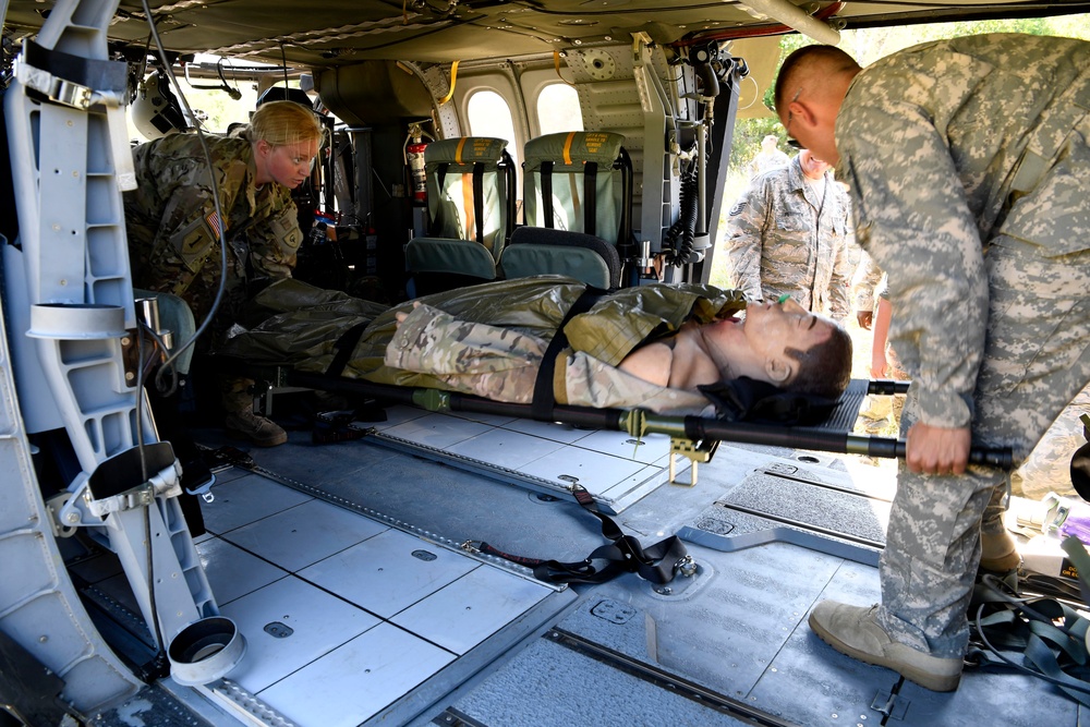 Medevac Exercise at Northern Strike