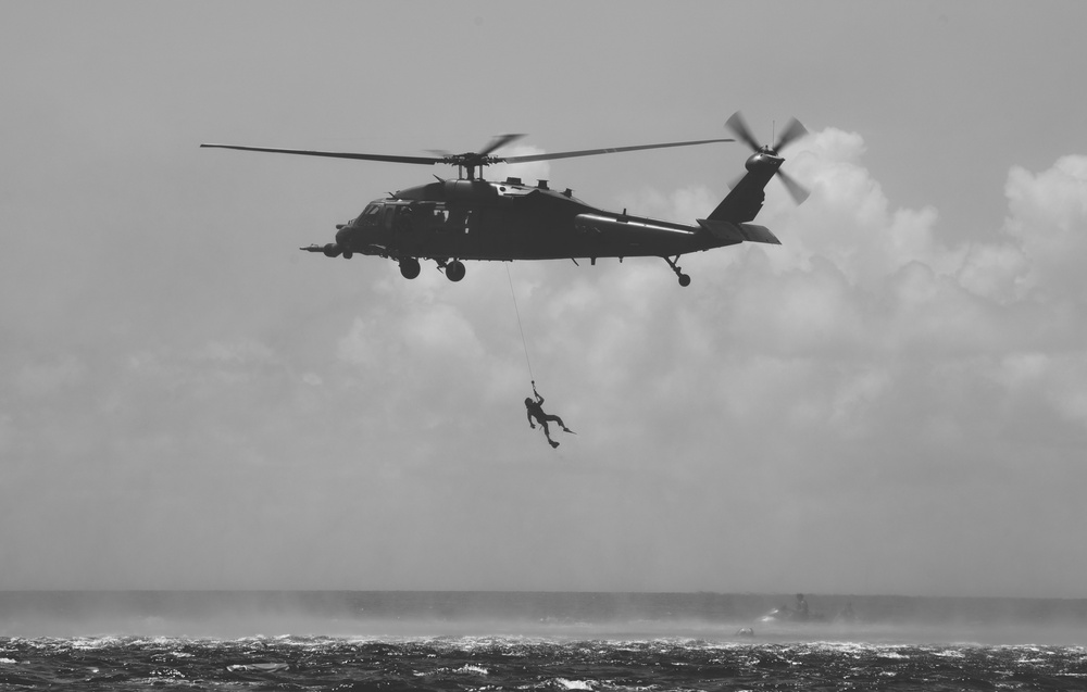 Exercise Stealth Guardian