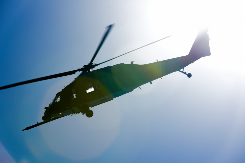 Exercise Stealth Guardian