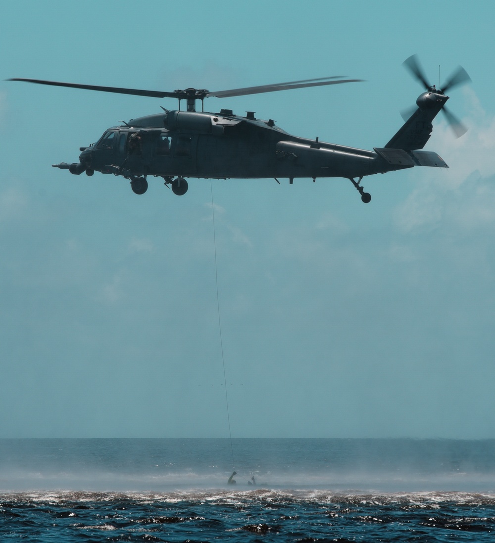 Exercise Stealth Guardian