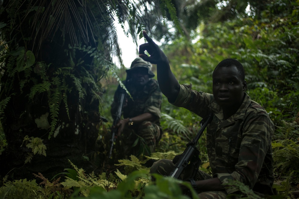 SPMAGTF-CR-AF Marines Train Cameroonian Marines