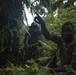 SPMAGTF-CR-AF Marines Train Cameroonian Marines