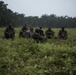 SPMAGTF-CR-AF Marines Train Cameroonian Marines