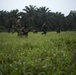 SPMAGTF-CR-AF Marines Train Cameroonian Marines