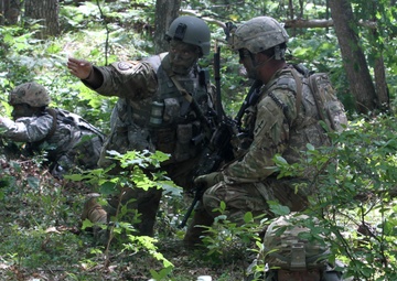 Team Leader
