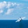 GHWB is the flagship of Carrier Strike Group (CSG) 2, which is comprised of the staff of CSG-2; GHWB; the nine squadrons and staff of Carrier Air Wing (CVW) 8; Destroyer Squadron (DESRON) 22 staff and guided-missile destroyers USS Laboon (DDG 58) and USS GHWB is the flagship of Carrier Strike Group (CSG) 2, which is comprised of the staff of CSG-2; GHWB; the nine squadrons and staff of Carrier Air Wing (CVW) 8; Destroyer Squadron (DESRON) 22 staff and guided-missile destroyers USS Laboon (DDG 58) and USS