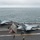 GHWB is the flagship of Carrier Strike Group (CSG) 2, which is comprised of the staff of CSG-2; GHWB; the nine squadrons and staff of Carrier Air Wing (CVW) 8; Destroyer Squadron (DESRON) 22 staff and guided-missile destroyers USS Laboon (DDG 58) and US.. GHWB is the flagship of Carrier Strike Group (CSG) 2, which is comprised of the staff of CSG-2; GHWB; the nine squadrons and staff of Carrier Air Wing (CVW) 8; Destroyer Squadron (DESRON) 22 staff and guided-missile destroyers USS Laboon (DDG 58) and US..