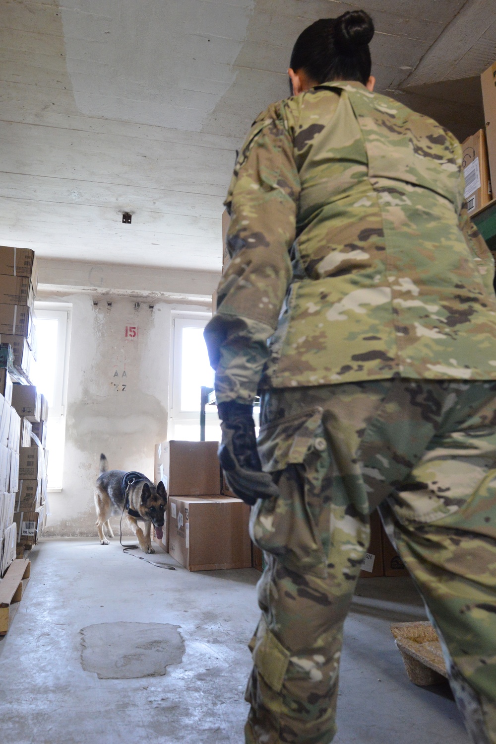 131st MP MWD training