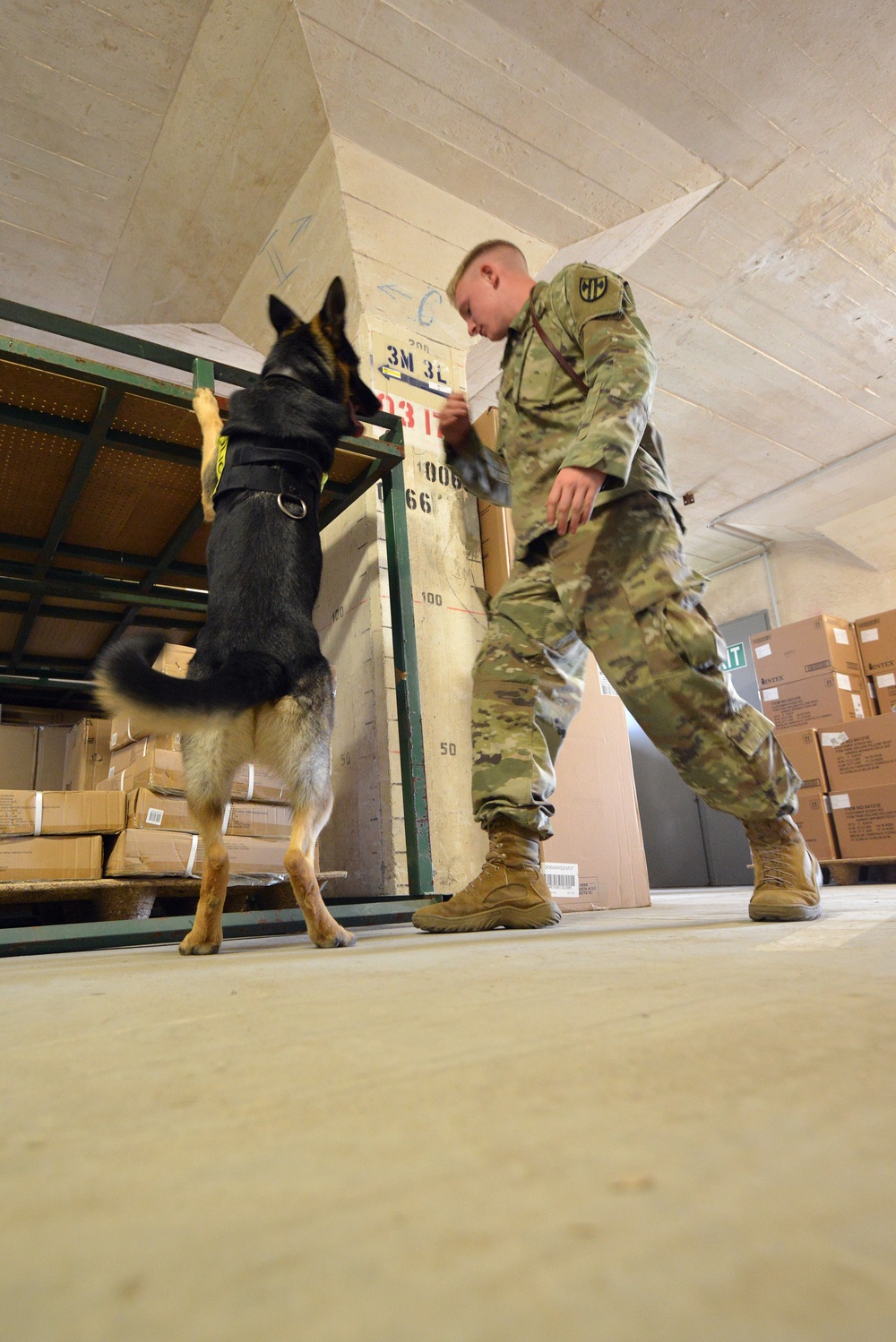 131st MP MWD training