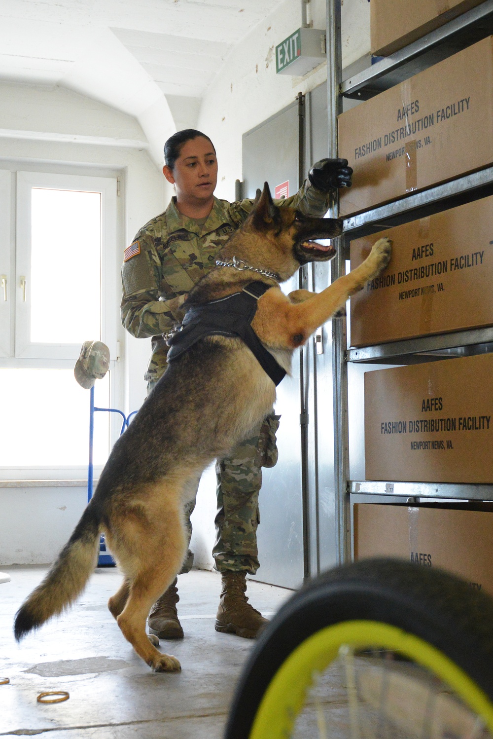 131st MP MWD training