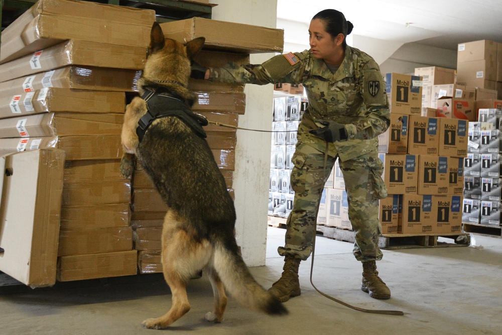 131st MP MWD training