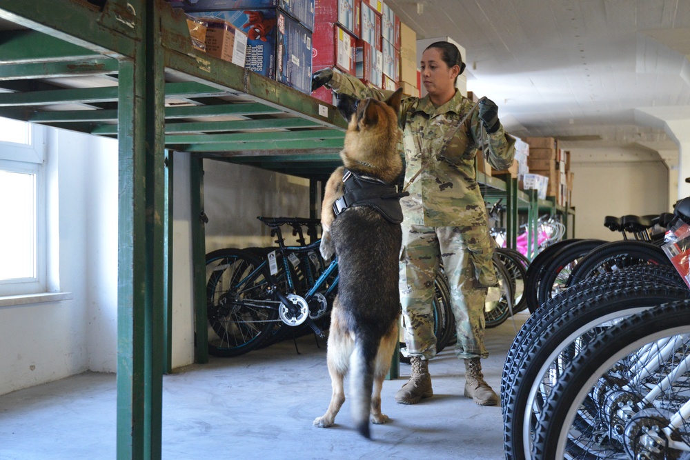 131st MP MWD training