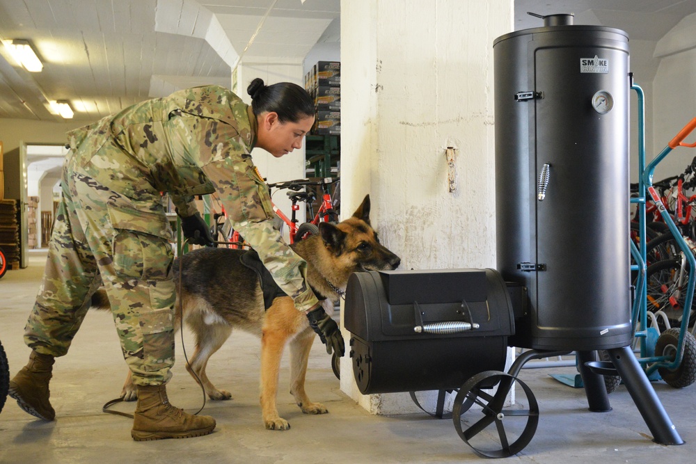 131st MP MWD training