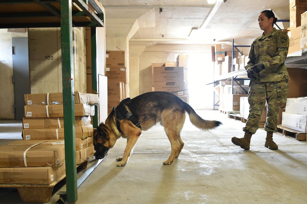 131st MP MWD training