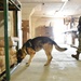 131st MP MWD training