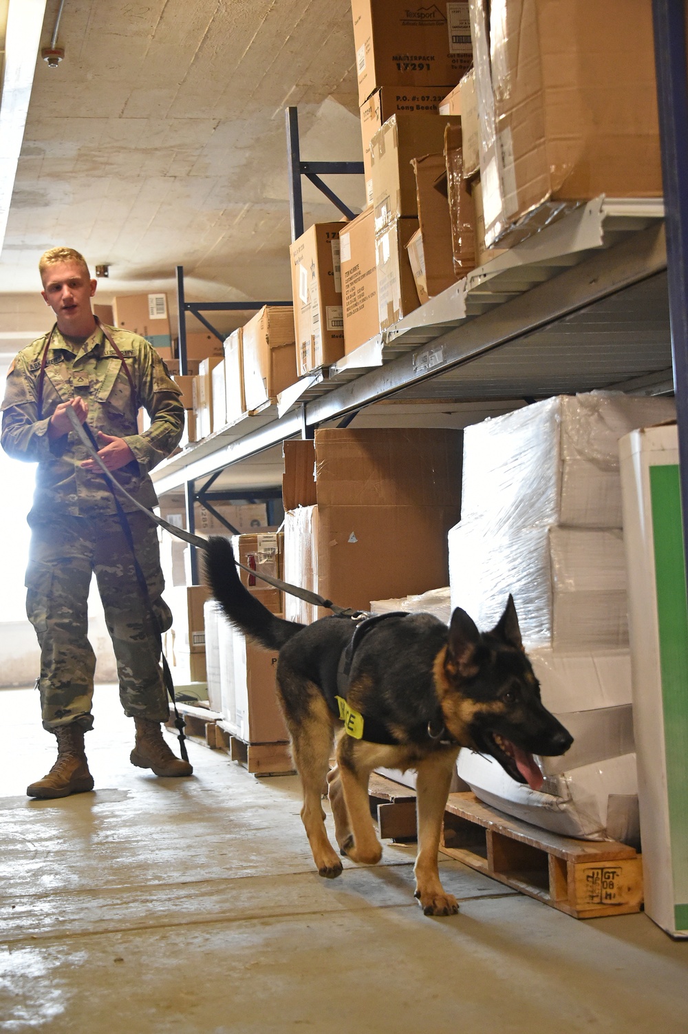 131st MP MWD training