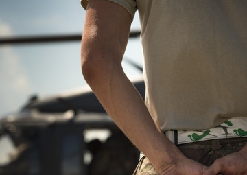 Maintenance enables Stealth Guardian execution