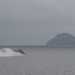 USS Bonhomme Richard (LHD 6) Landing Craft Air Cushion (LCAC) Operations During Amphibious Intigration Training (AIT)