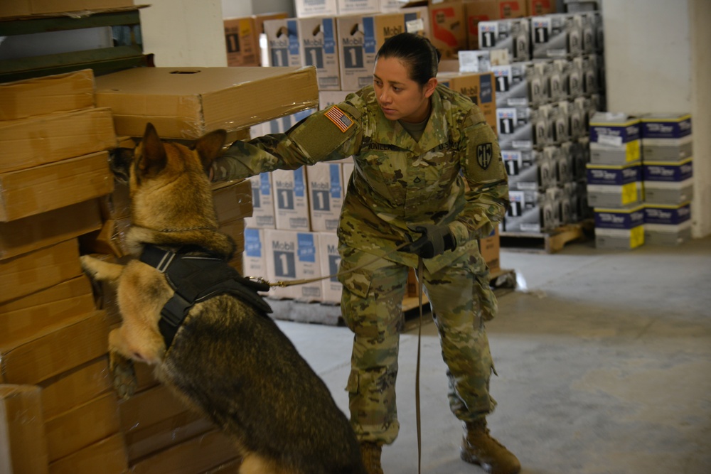 18 MP Training Aid Search