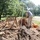Team completes first phase III archaeology dig at Fort McCoy