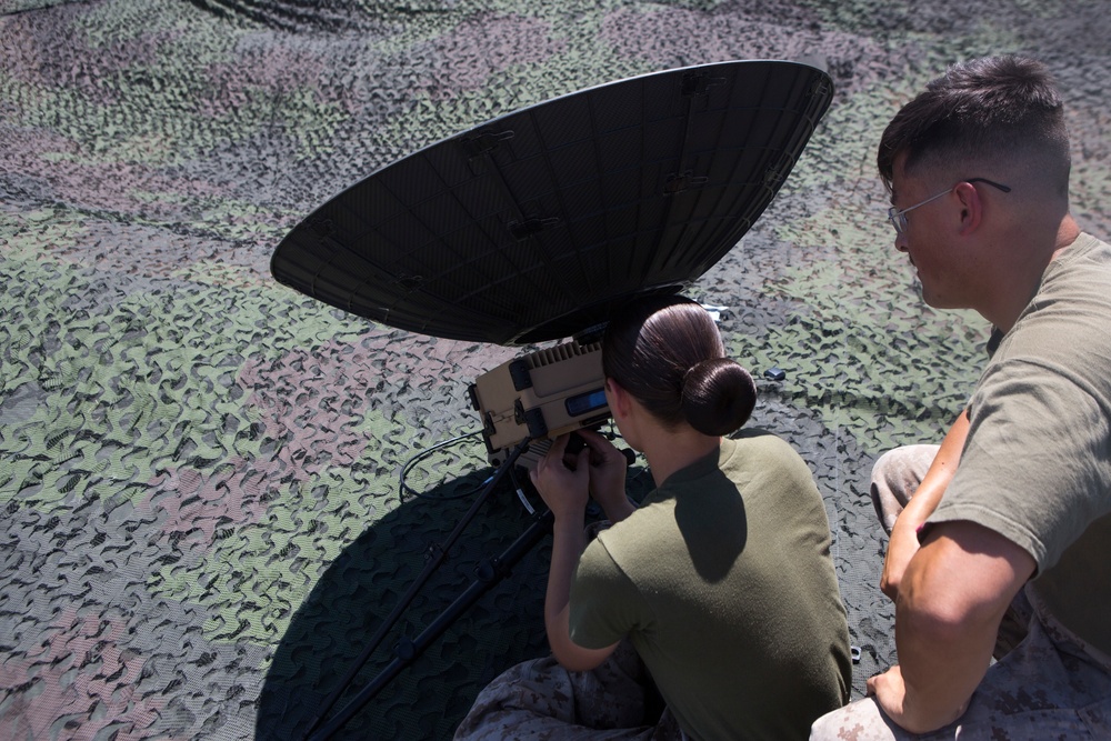 Mass Communication Specialists set up PALMES