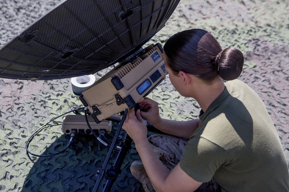 Mass Communication Specialists set up PALMES