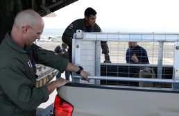 Monk seal safely transferred from Big Island to Oahu to return home