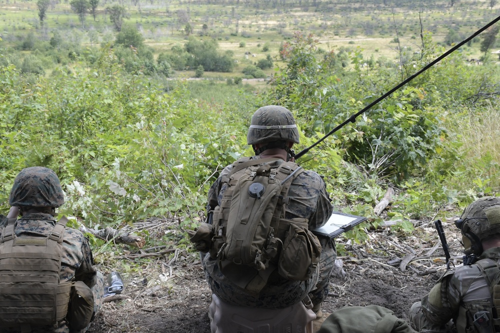 Coalition Forces train at Northern Strike 17