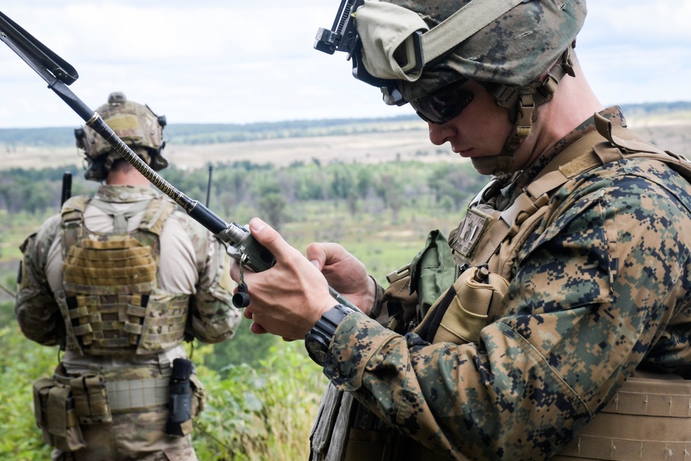 Coalition Forces train at Northern Strike 17