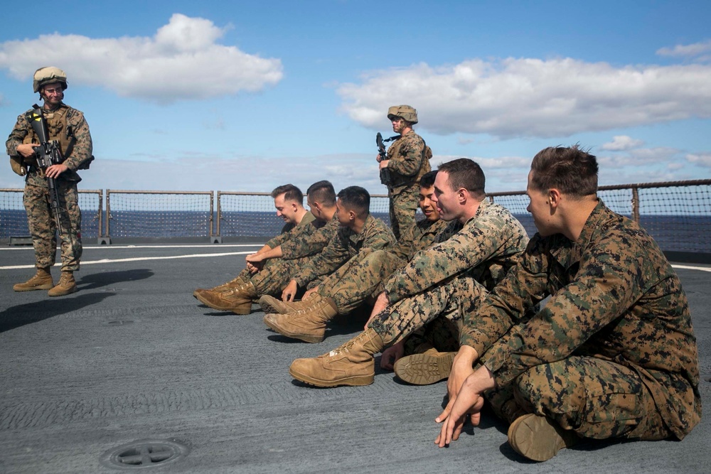 CLB-31 Marines rehearse noncombatant evacuation operations