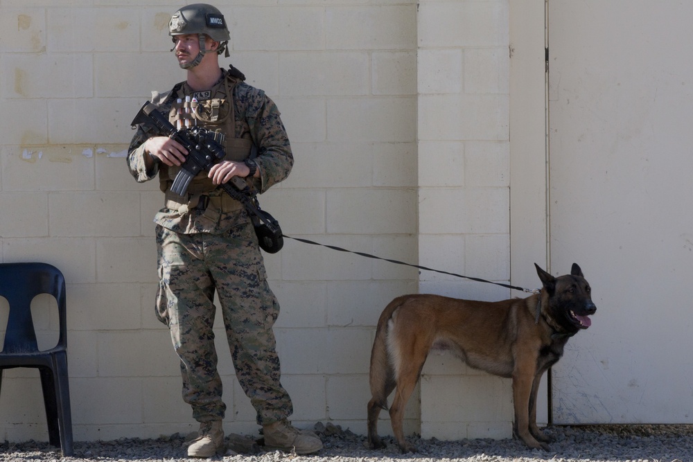 31st MEU Marines refine embassy reinforcement, mass casualty response fundamentals during AIT