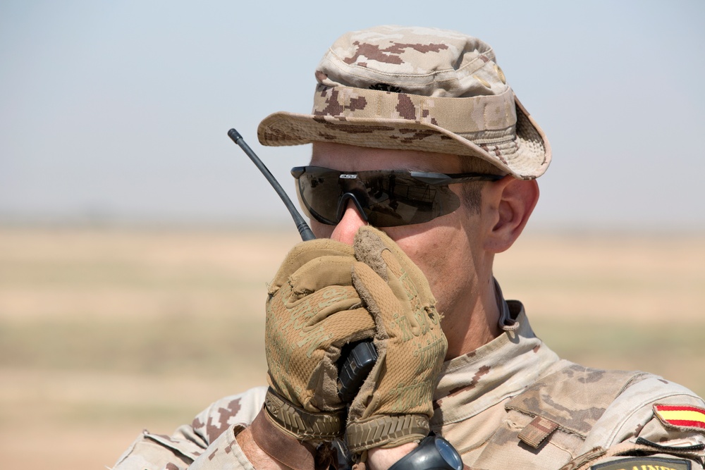 ISF call for fire training