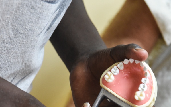 A person is holding a dental articulator device with upper and lower jaw dental models (dentures or study casts) mounted on it. The models feature pink acrylic gum bases with white artificial teeth. The metal articulator mechanism allows the jaw models to open and close, simulating bite movement.