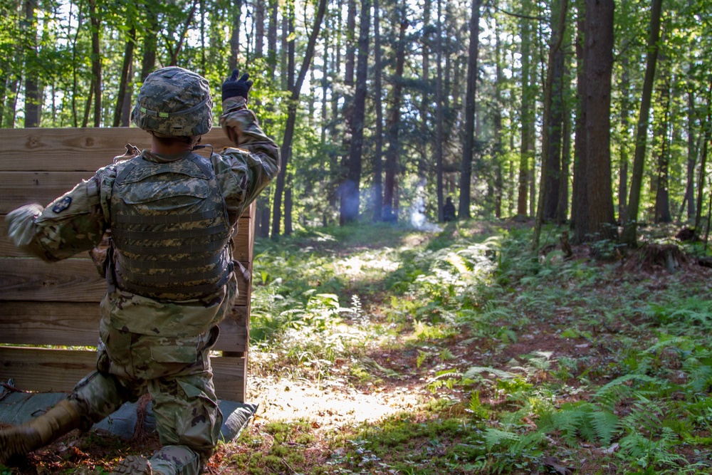 Cpl. Carlo Deldonno tosses a grenade