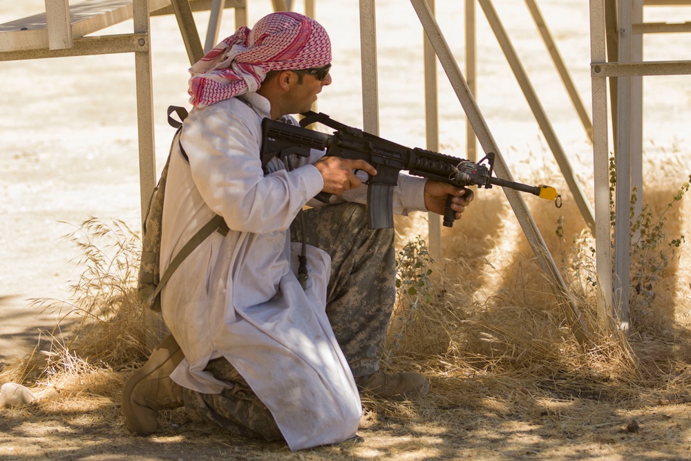 Command Support Training Exercise 91-17-03