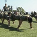 Annual H&amp;S Battalion Field Meet