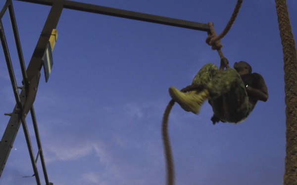 Military personnel are conducting a physical training exercise at dusk or dawn on an obstacle course. One individual is climbing a rope near the top, while two or more observers on the ground watch and appear to be timing or evaluating the performance. The setting includes metal frame structures typical of a military physical training facility.