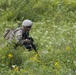 Soldier Moves Through Brush