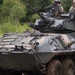 U.S. Marines and the Japanese Ground-Self Defense Force conduct joint light armored vehicle assaults