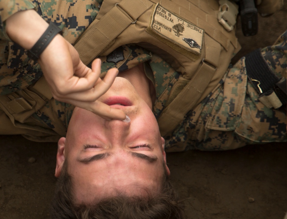 U.S. Marines, Japanese Ground Self-Defense Force medical professionals learn casualty care